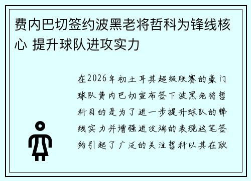 费内巴切签约波黑老将哲科为锋线核心 提升球队进攻实力 费内巴切签约波黑老将哲科为锋线核心 提升球队进攻实力
